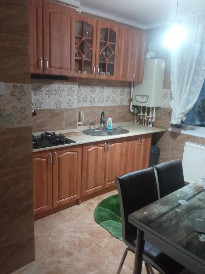 Apartament Bia Lupeni  Esterno foto
